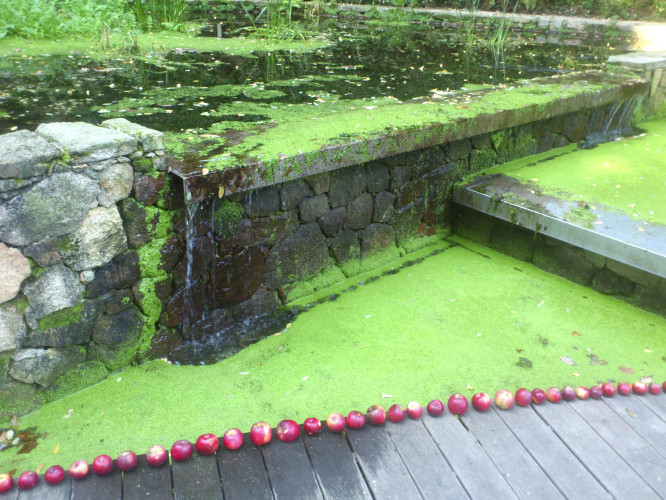 Arte y Naturaleza en Marín. Parque de los Sentidos.